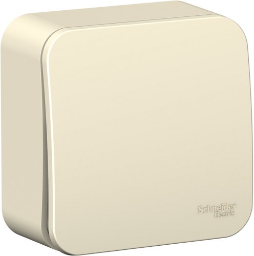 Переключатель накладной Systeme Electric Blanca 1-кл. проходной молочный картинка